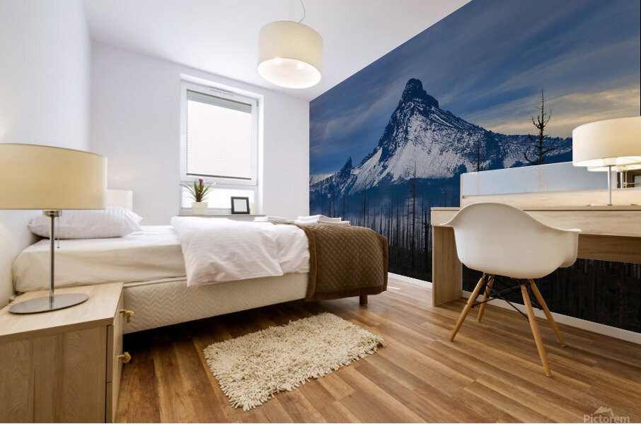 Mount Washington Mural print