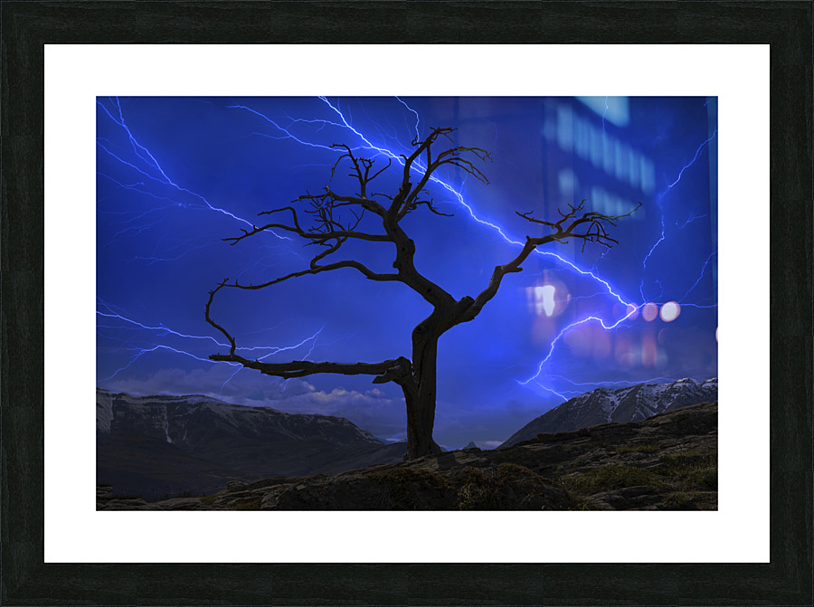  Burmis Tree Part III Picture Frame print