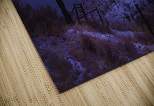 Purple Dream Janusz Sobolewski puzzle