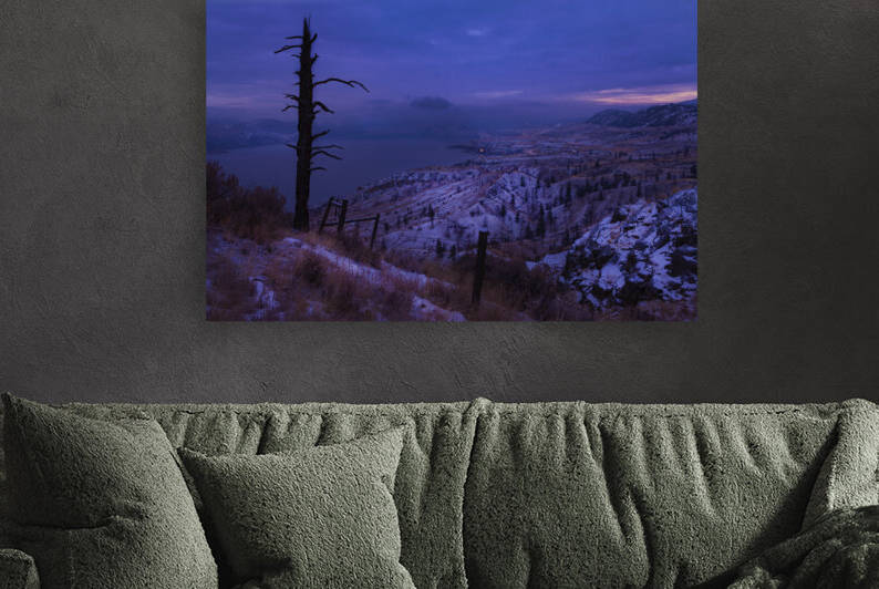Purple Dream by Janusz Sobolewski