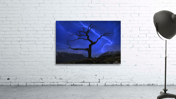  Burmis Tree Part III Wall Preview