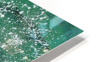Tarpon Feeding HD Metal print