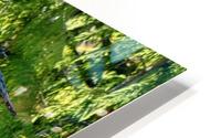 Eagle Tree HD Metal print