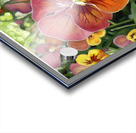 greenhousepansy border Acrylic print
