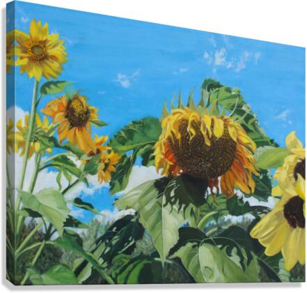 Garden Sunflowers Canvas Print