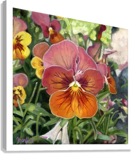 greenhousepansy border Canvas Print