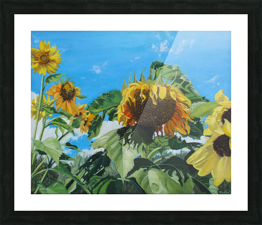 Garden Sunflowers Picture Frame print