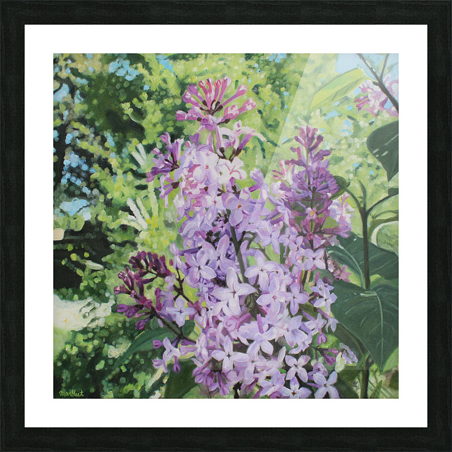 Blooming Lilacs Picture Frame print
