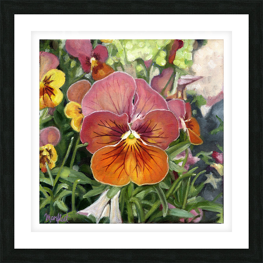 greenhousepansy border Picture Frame print