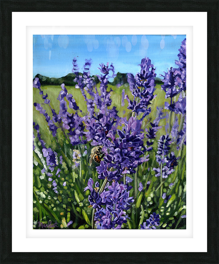 lavenderbee border Picture Frame print