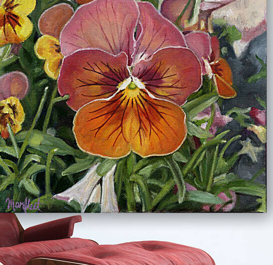 Greenhouse Pansy by Haley Marfleet