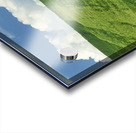 Path Through Barley and Canola Acrylic print