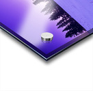 Winter Morning Acrylic print