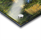 Boggy Lake Acrylic print