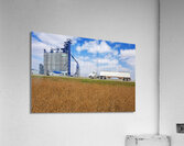 Hauling Crop Acrylic Print