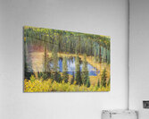 Boggy Lake Acrylic Print