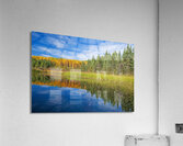 Autumn Colours Along Lake Acrylic Print