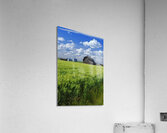 Abandoned Farm Acrylic Print