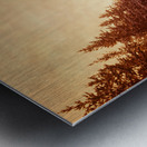 Winter Road Through Pine Forest Metal print