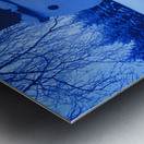 snowman barn Metal print