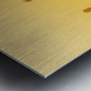 Passing the Rail Signal Metal print