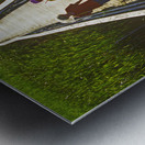 A Day of Catching Marsh Life Metal print