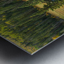 Boggy Lake Metal print