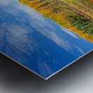 Autumn Colours Along Lake Metal print