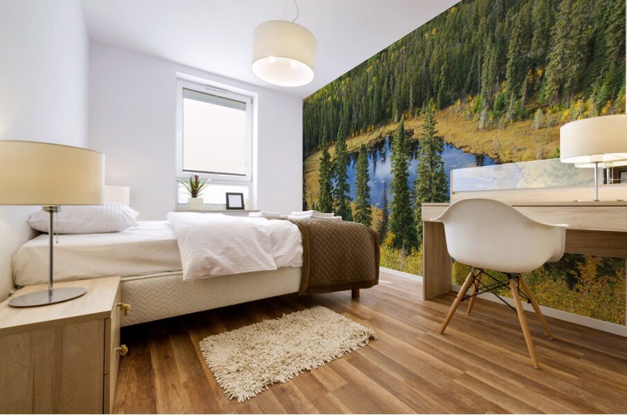 Boggy Lake Mural print