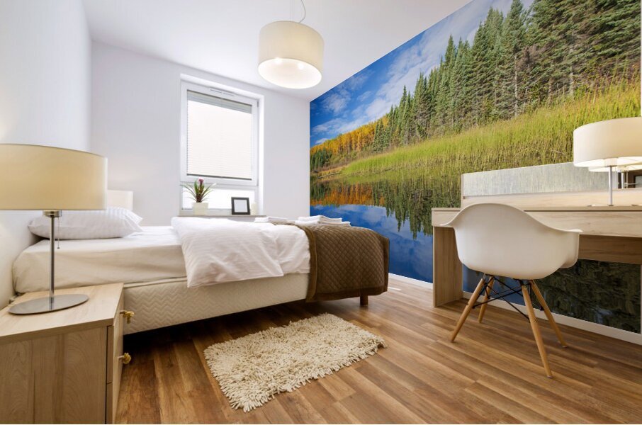 Autumn Colours Along Lake Mural print