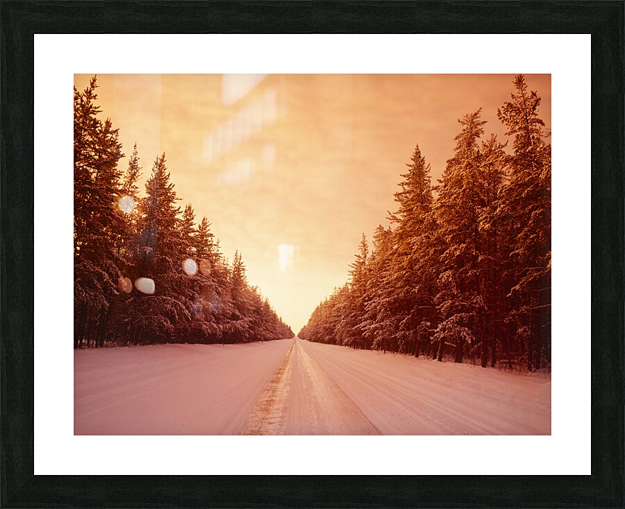 Winter Road Through Pine Forest Picture Frame print