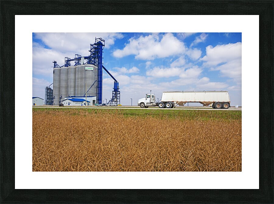 Hauling Crop Picture Frame print