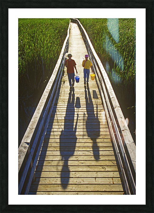 A Day of Catching Marsh Life Picture Frame print