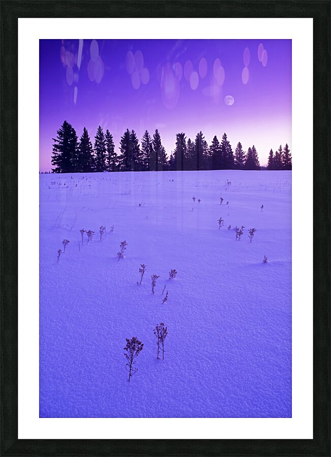 Winter Morning Picture Frame print