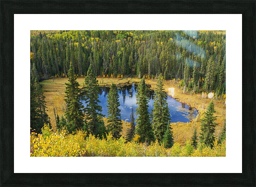 Boggy Lake Picture Frame print