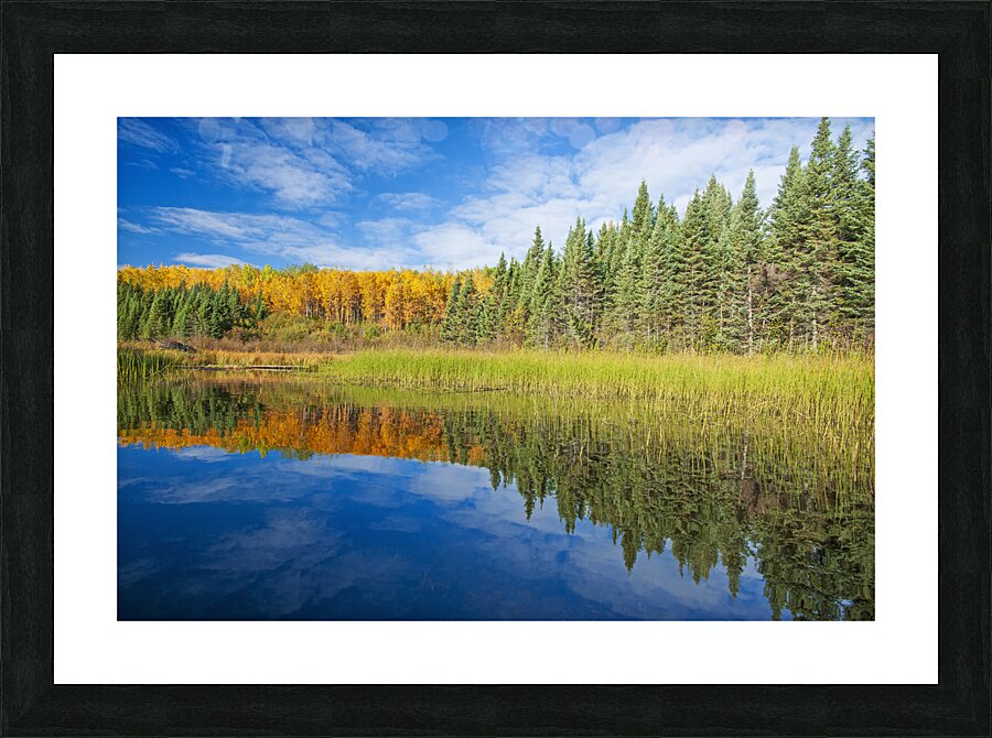 Autumn Colours Along Lake Picture Frame print
