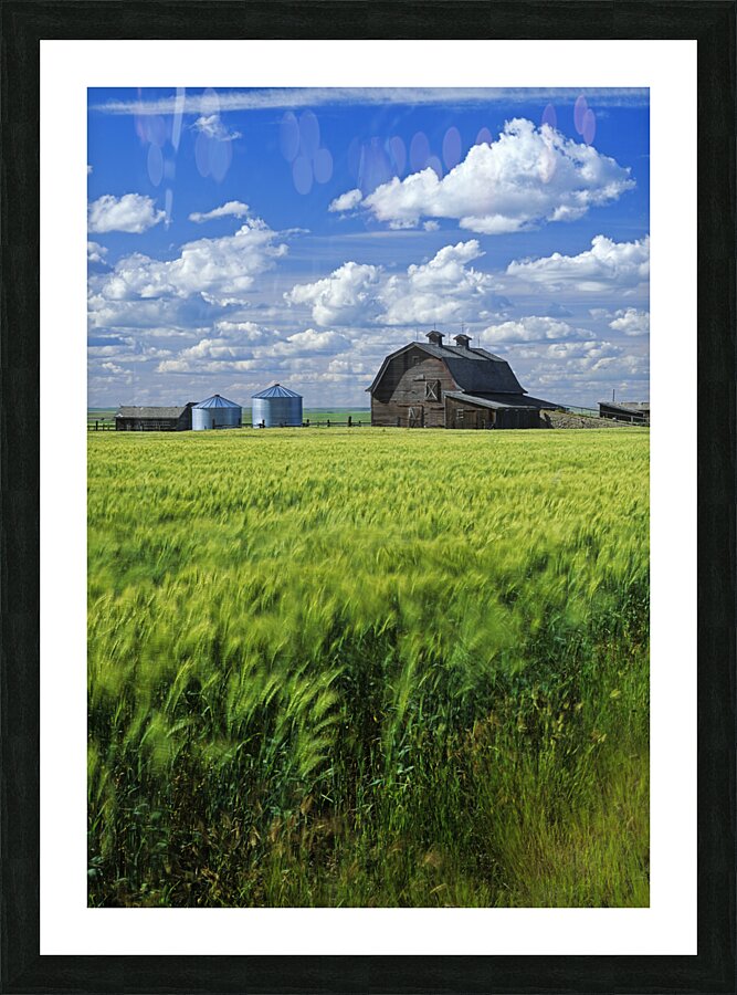 Abandoned Farm Picture Frame print