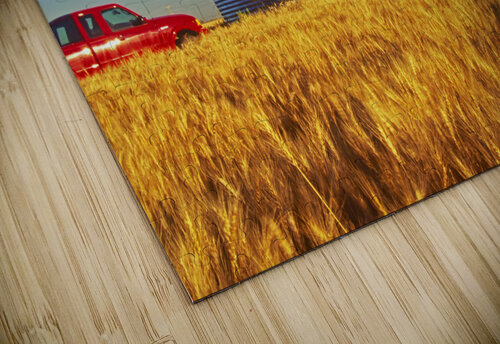 Farmer on Bin Dave Reede Photohgraphy puzzle