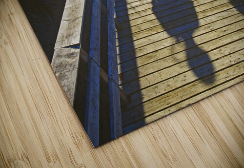 A Day of Catching Marsh Life Dave Reede Photohgraphy puzzle