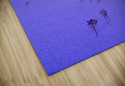 Winter Morning Dave Reede Photohgraphy puzzle