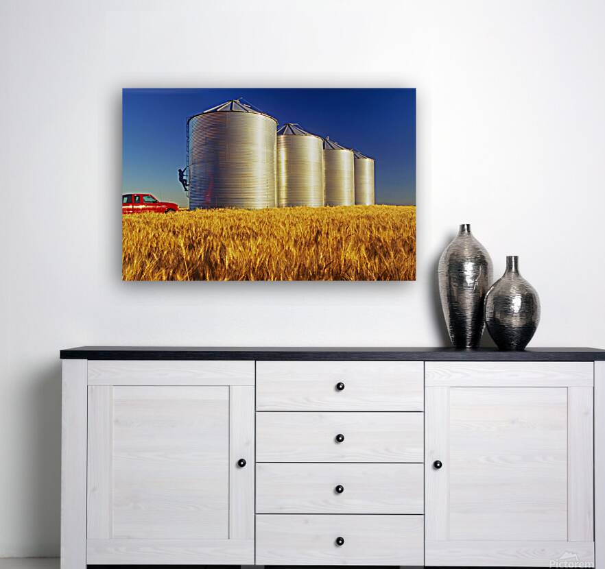 Farmer on Bin Reproduction