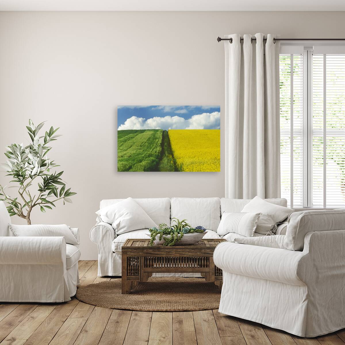 Path Through Barley and Canola Reproduction