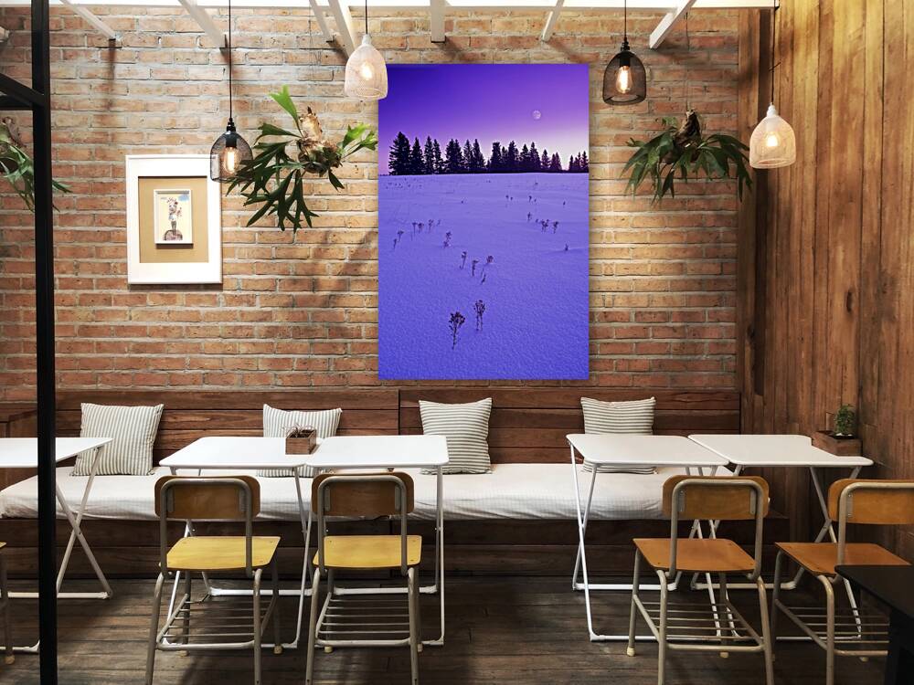 Winter Morning Reproduction