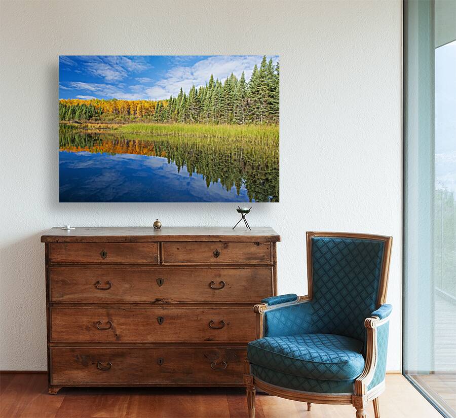 Autumn Colours Along Lake Reproduction