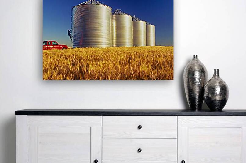 Farmer on Bin by Dave Reede Photohgraphy
