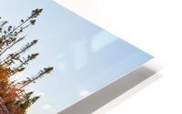 Pukaskwa National Park HD Metal print