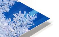 Hoarfrost on Trees HD Metal print