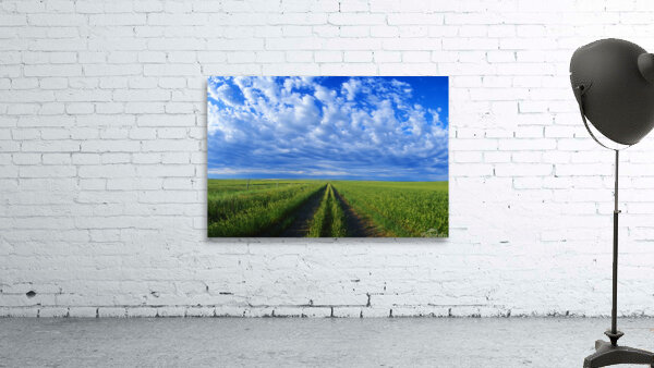 Backroad Wall Preview