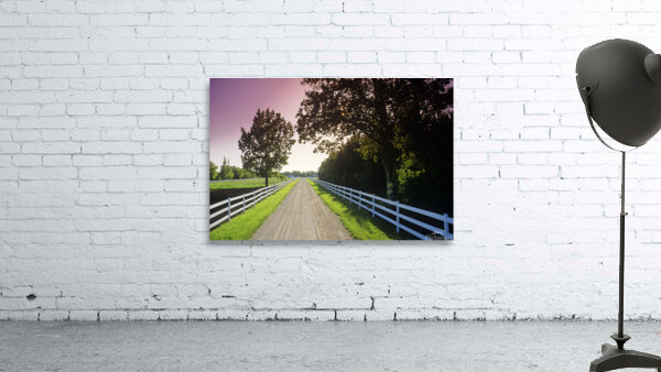 country road Wall Preview
