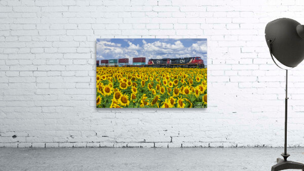 Train Passing Sunflower Field Wall Preview